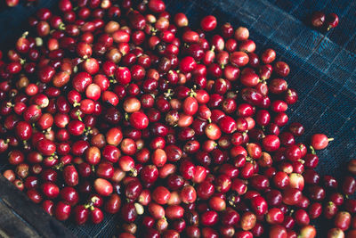 High angle view of red berries on table