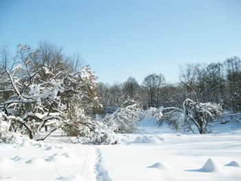 Trees on snow covered field against clear sky