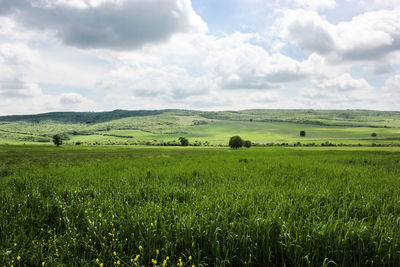 Scenic view of field against cloudy sky