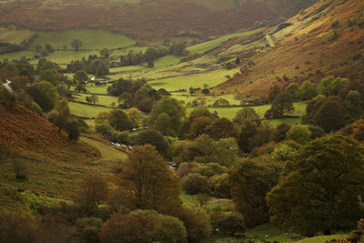 High angle view of trees on landscape