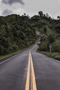 Empty road amidst trees and plants