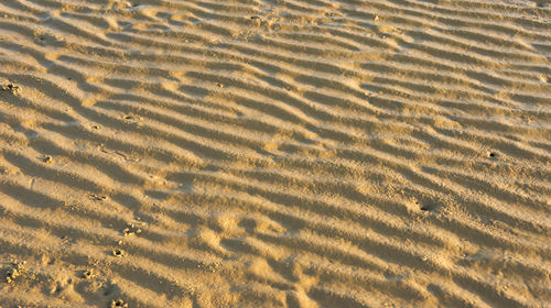 Full frame shot of sand dune