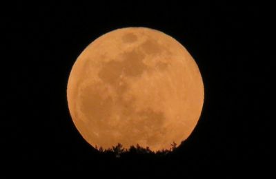 Low angle view of moon against clear sky at night