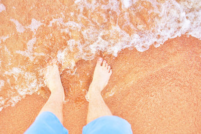 Low section of person standing on beach