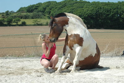 View of horse on field