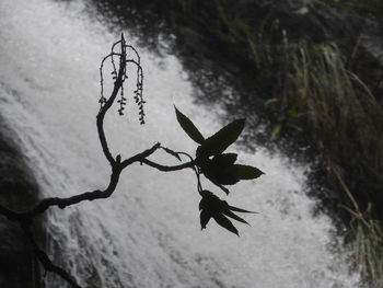 Low angle view of bird on branch against sky