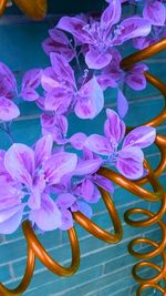 Close-up of flowers