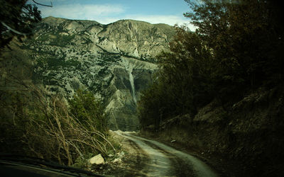 Road amidst trees in forest