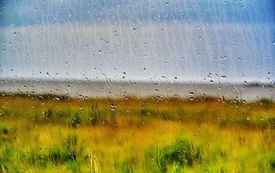 Close-up of water drops on glass