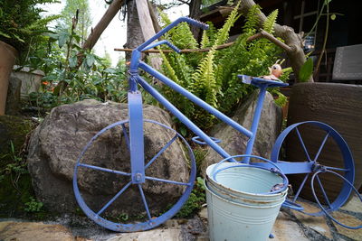 Potted plant by bicycle in yard