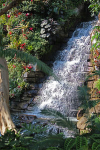 Stream flowing through rocks