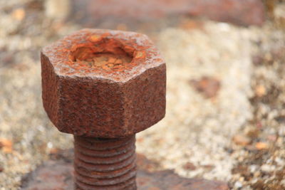 Close-up of rusty nail