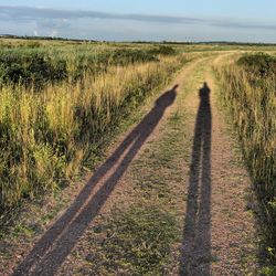 Dirt road passing through field