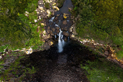 High angle view of stream amidst trees in forest