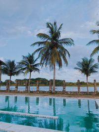 Palm trees by swimming pool against sky