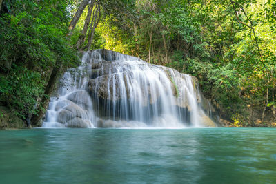 Scenic view of waterfall in forest