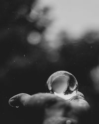 Close-up of hand holding bubbles