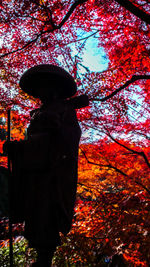 Rear view of silhouette person standing by trees during autumn