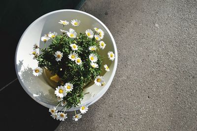 High angle view of flower bouquet