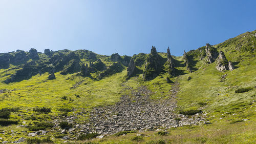 Scenic view of landscape against clear sky