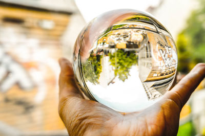 Cropped hand holding crystal ball