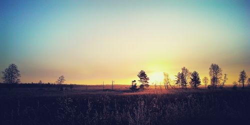 Scenic view of trees against sky during sunset