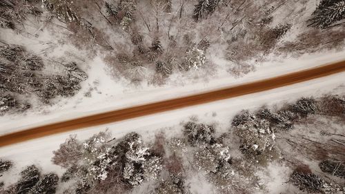 High angle view of snow covered road