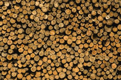 Full frame shot of logs