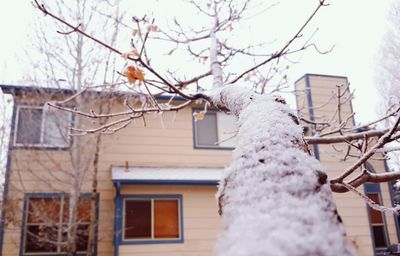 Low angle view of bare tree against house during winter