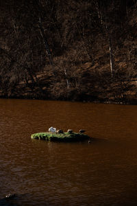 High angle view of boat in lake