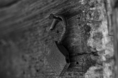 Close-up of nail and metallic hook on rock