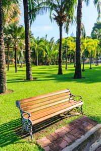Bench in park