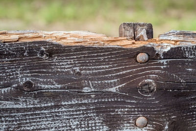 Close-up of old wooden log