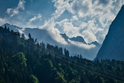 Panoramic view of trees and mountains against sky