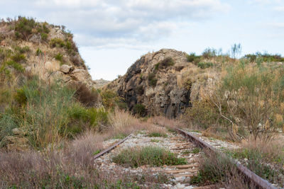 Scenic view of land against sky