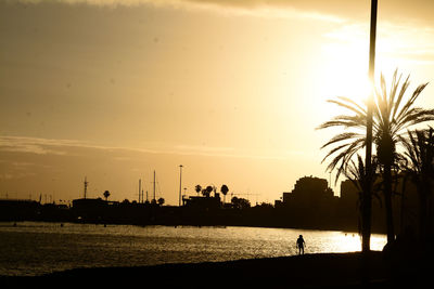 Silhouette palm trees on beach against sky during sunset