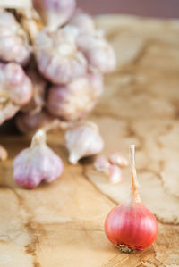 Close-up of  shallot on table