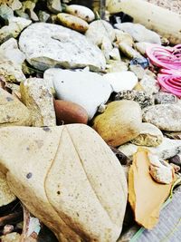 Close up of vegetables