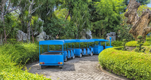 View of palm trees in park