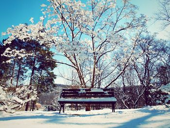 Trees on snow covered landscape against sky