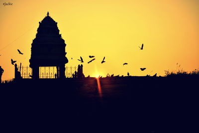 Silhouette birds at sunset