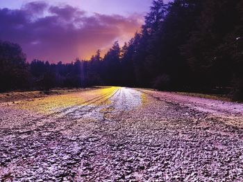 View of empty road along trees