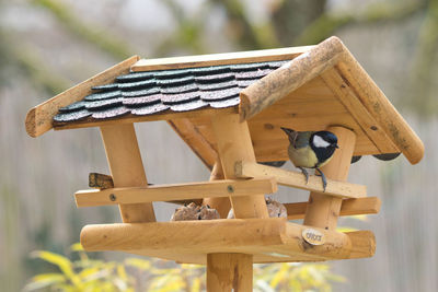 Close-up of birdhouse on wooden post