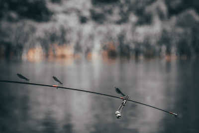 Fishing rod by lake