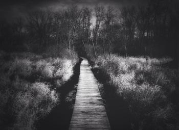 Walkway amidst trees against sky