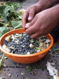 Cropped image of person holding plant