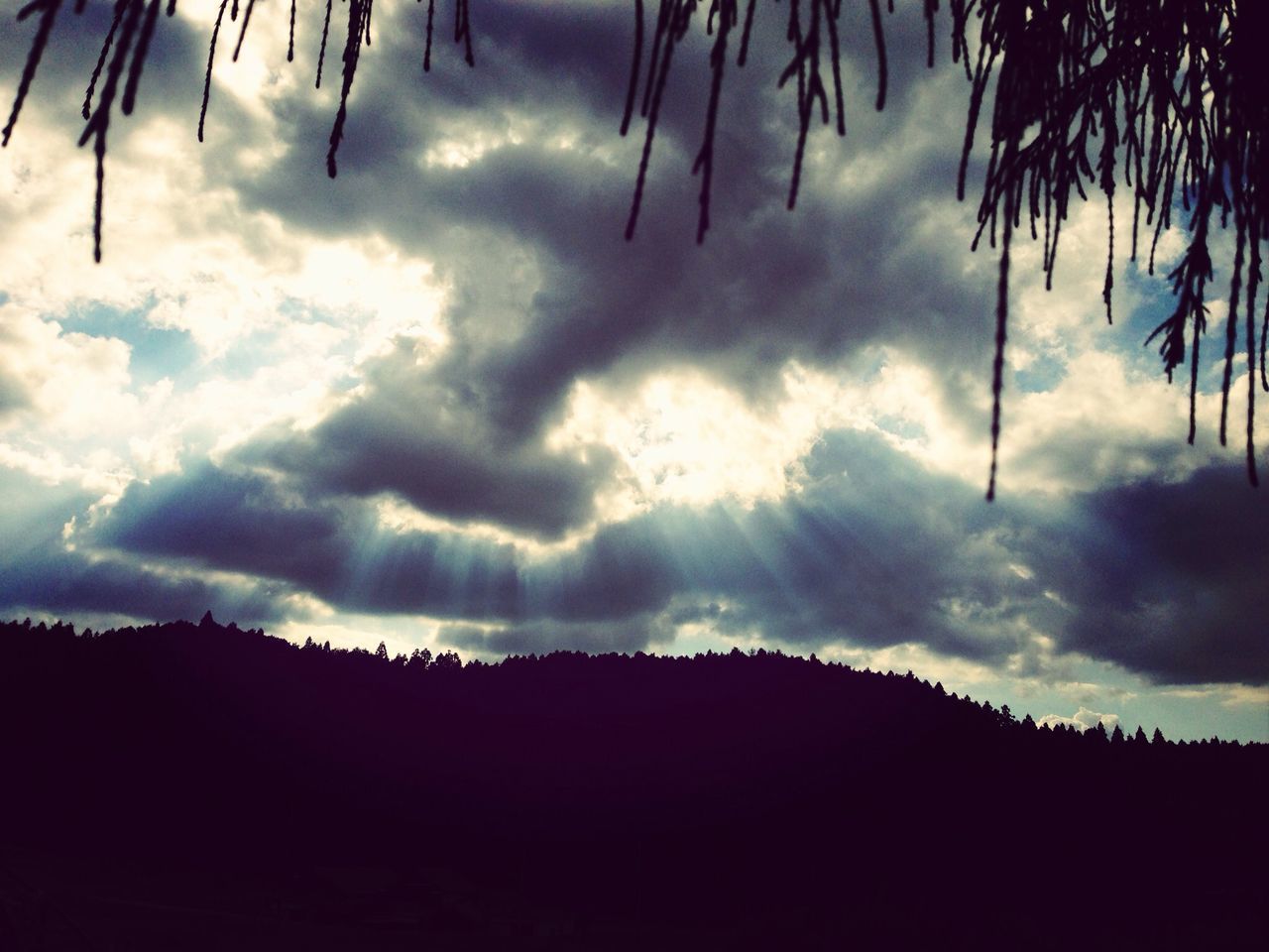 sky, cloud - sky, cloudy, silhouette, scenics, tranquility, tranquil scene, beauty in nature, cloud, nature, tree, weather, low angle view, idyllic, dusk, storm cloud, dramatic sky, overcast, outdoors, atmospheric mood