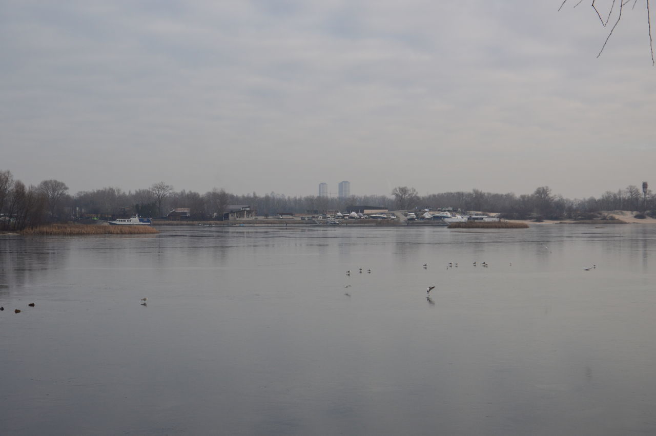 VIEW OF BIRDS IN LAKE