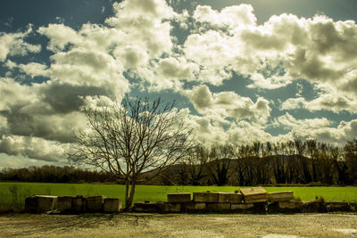 Scenic view of grassy field against cloudy sky