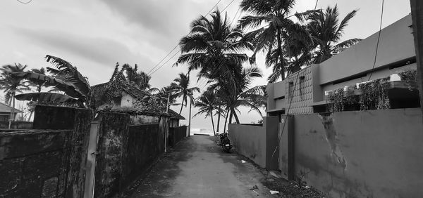 Footpath amidst palm trees and buildings against sky